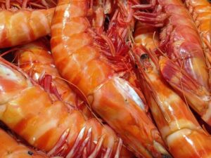 exp-rhode-1 | Sail in Greece™ Pile of cooked shrimp with bright orange shells and long antennae, close-up